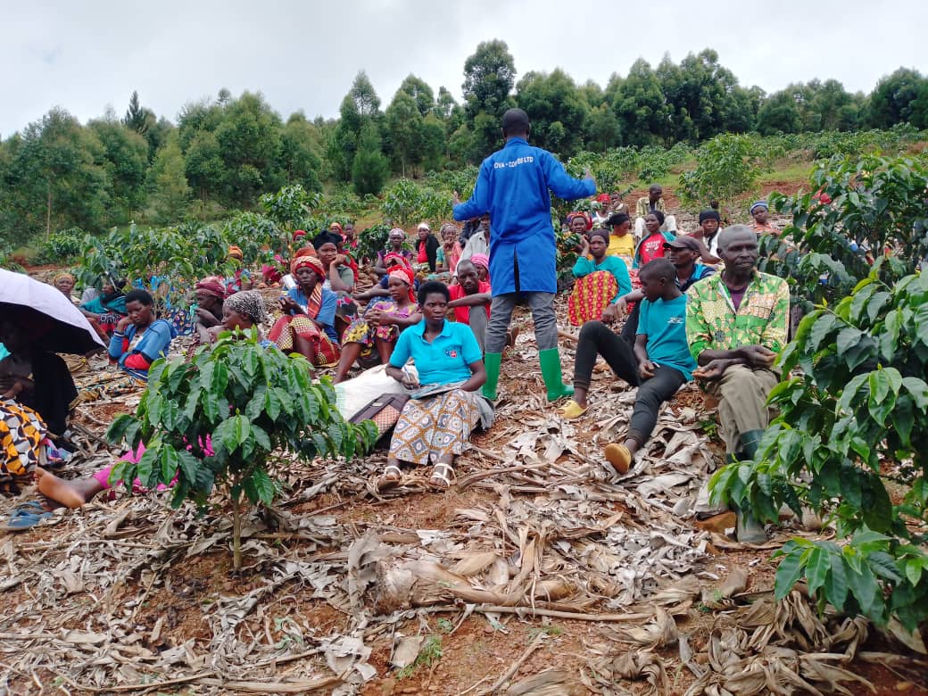 Nova Coffee community farmers gathering