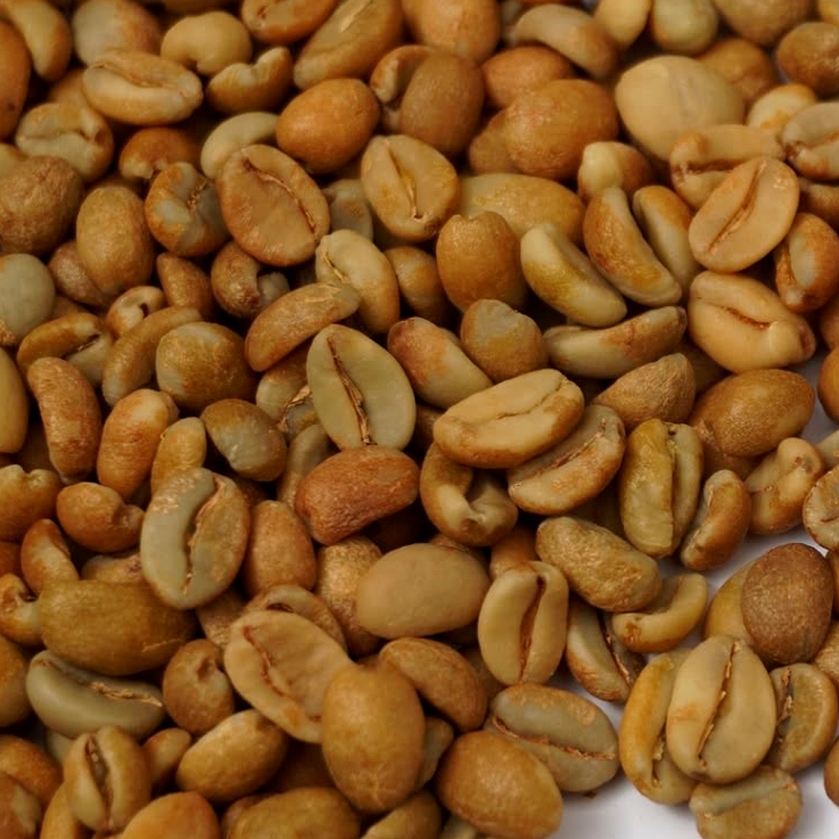 Nova Coffee Anaerobic Natural
