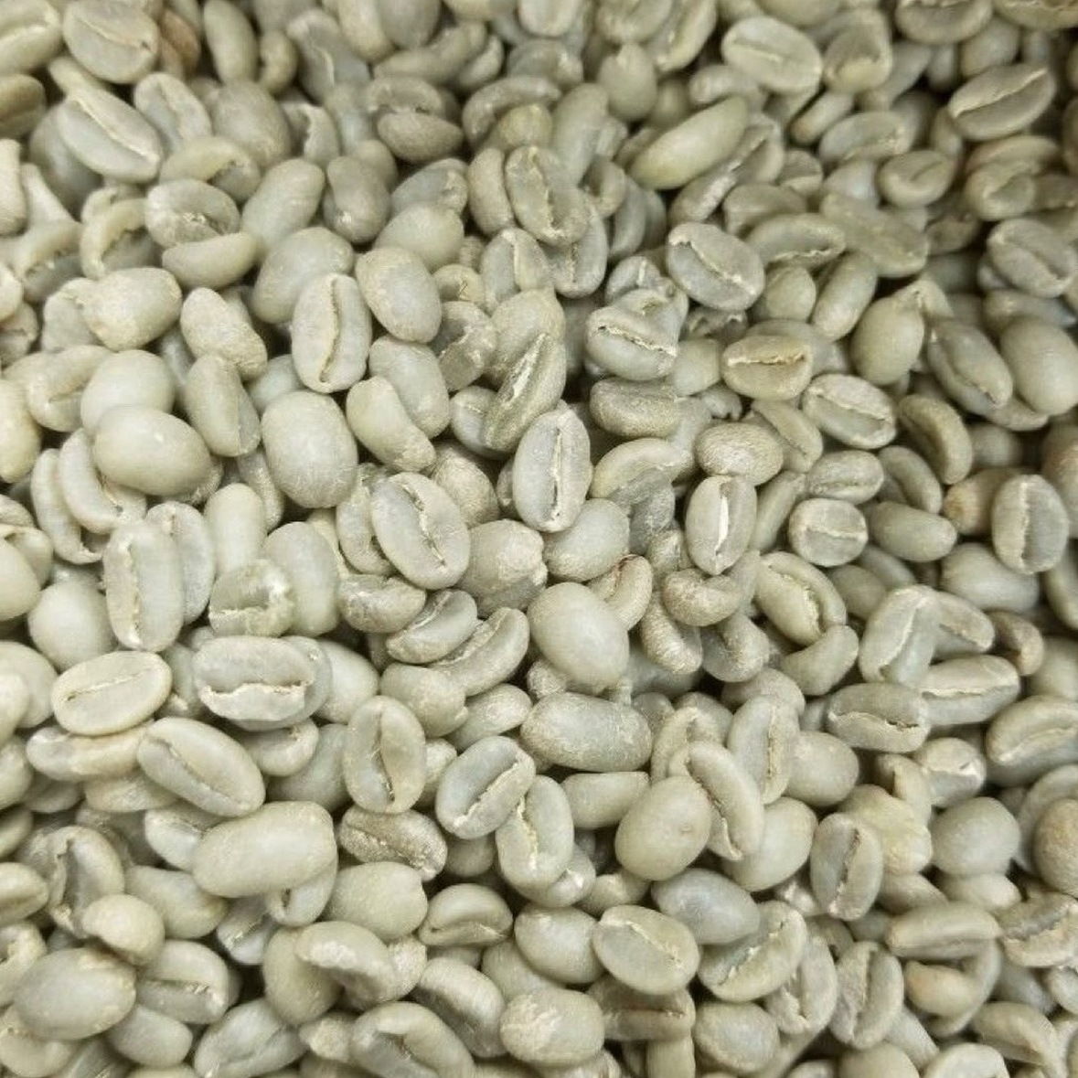 Nova Coffee Fully Washed
