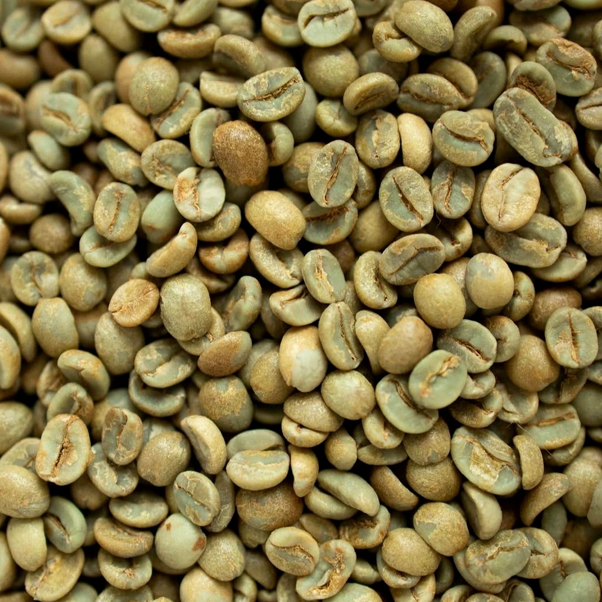 Nova Coffee Natural
