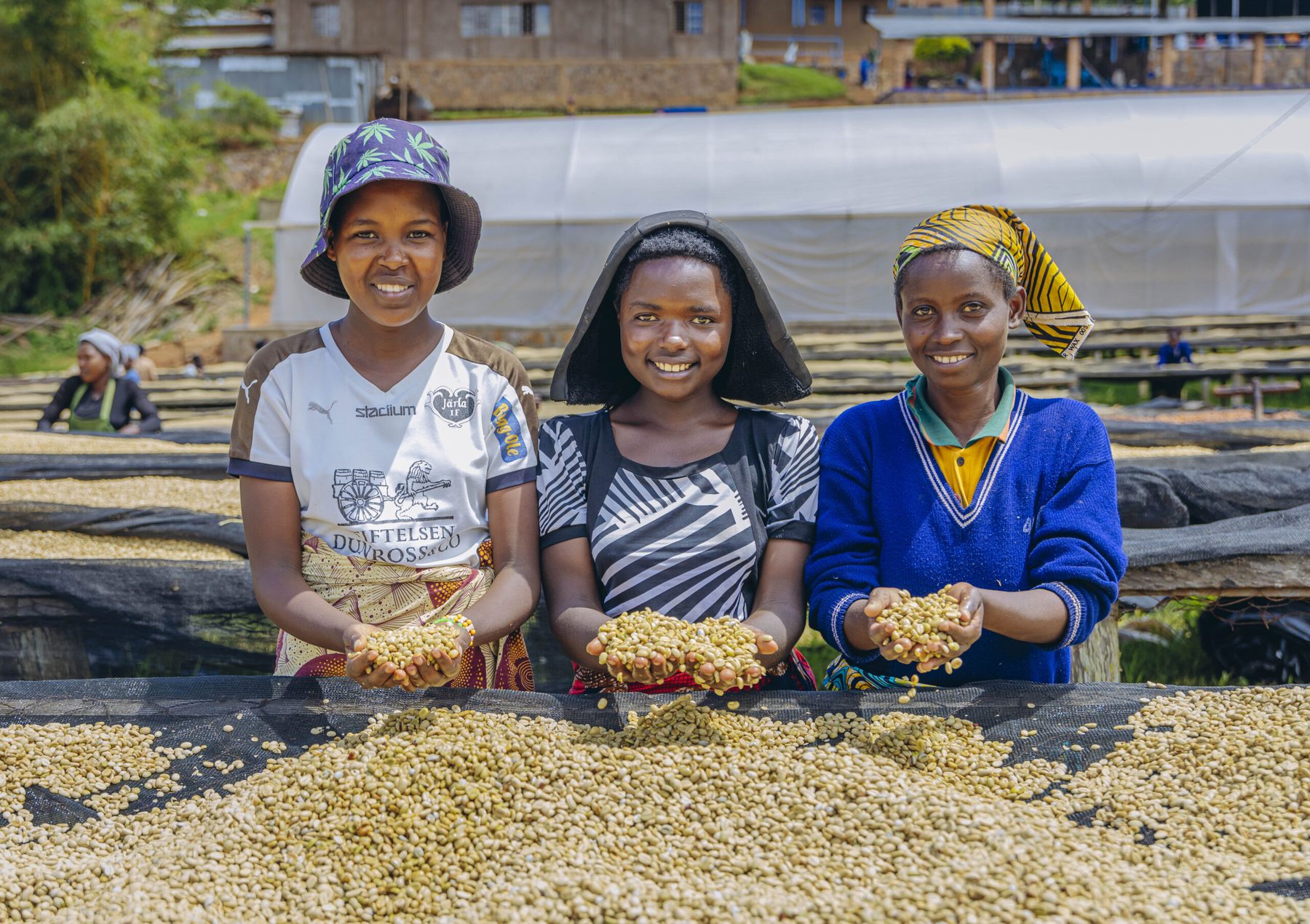 Café Des Mamans women farmers