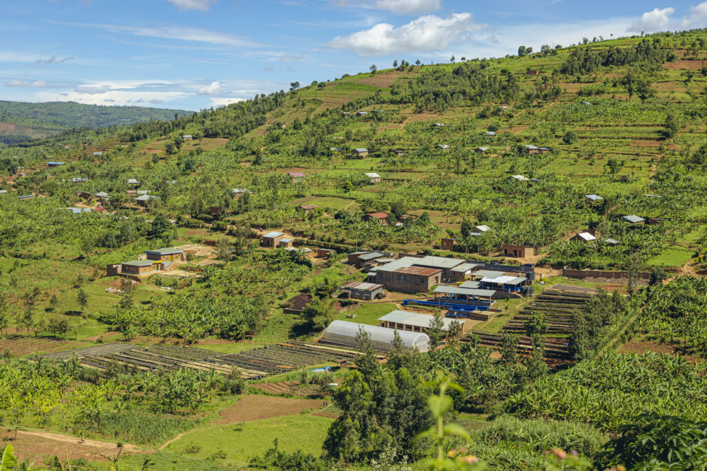 Nova Coffee farm surroundings